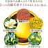Гидрофильное антивозрастное масло для снятия макияжа Attenir Skin Clear Cleanse Oil, аромат апельсина, 175 мл
