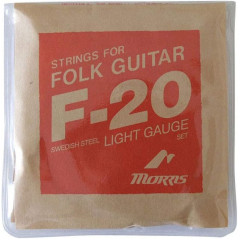 Струны для акустической гитары Morris F20L Acoustic Guitar Strings, 5 наборов